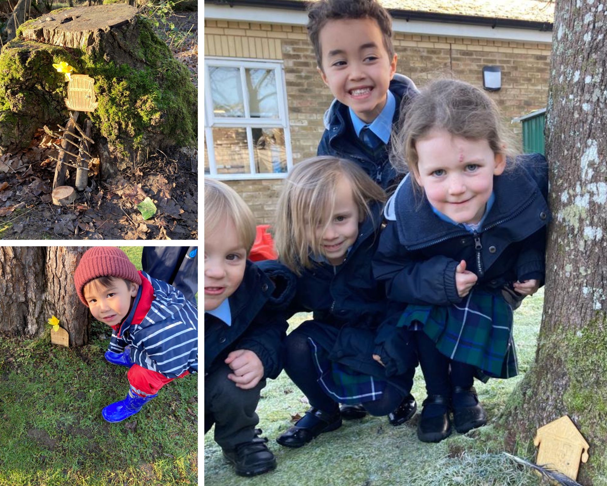 Farlington Fairy Doors