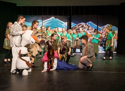 Frozen 180325 abp271